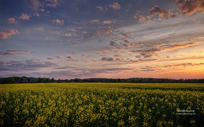 Windows 7 Wallpapers: Impressionen aus Schleswig-Holstein Thema #13