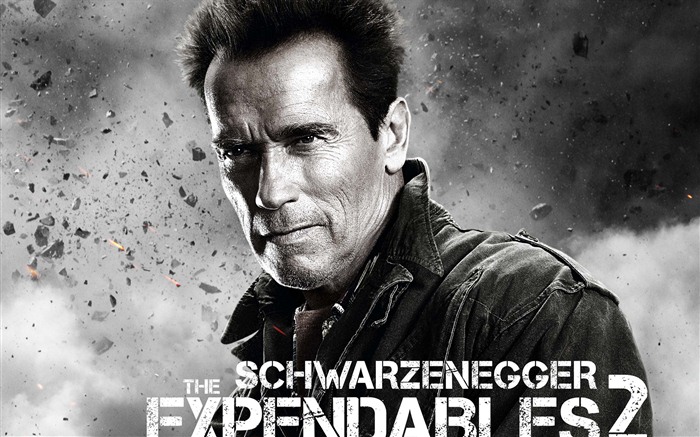 2012 Expendables 2 HD tapety na plochu #4