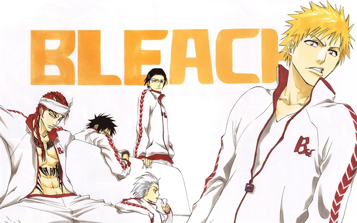 Bleach anime HD tapety na plochu #16