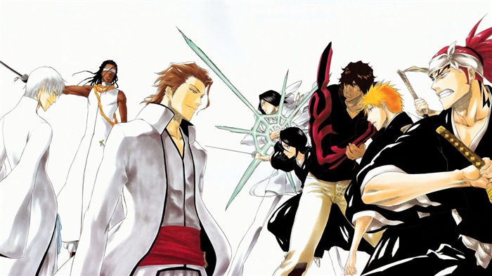 BLEACH HD anime wallpapers #21