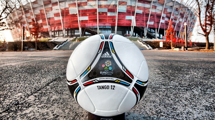 UEFA EURO 2012 fonds d'écran HD (1) #18