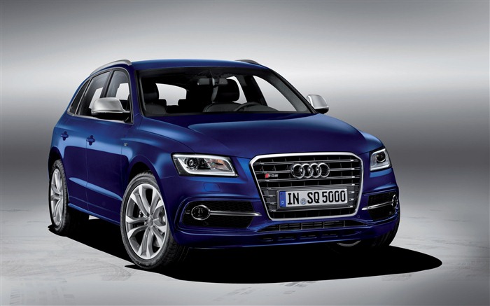 2013 Audi SQ5 TDI 奥迪 高清壁纸2