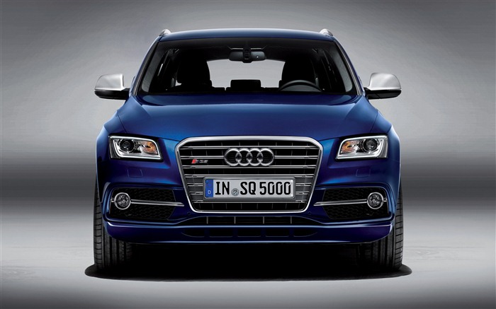 2013 Audi TDI SQ5 fondos de pantalla de alta definición #3