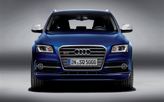 2013 Audi SQ5 TDI 奥迪 高清壁纸3
