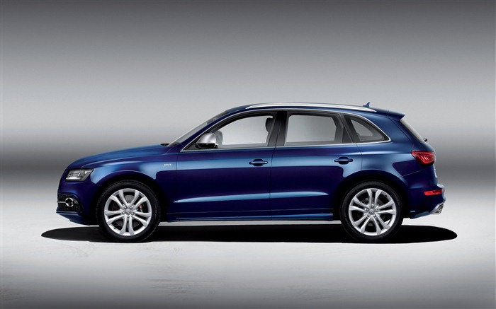 2013 Audi SQ5 TDI HD wallpapers #5