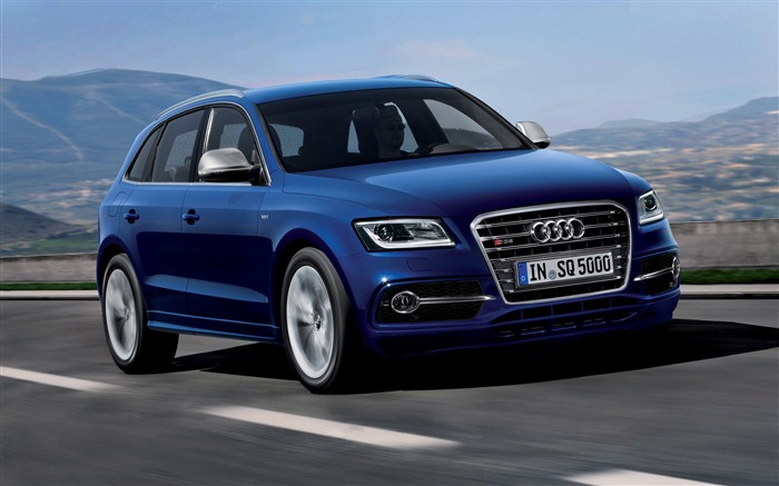 2013 Audi SQ5 TDI HD wallpapers #8