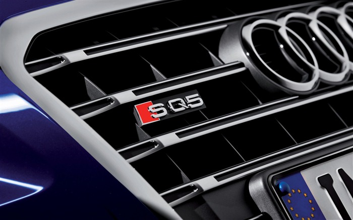 2013 Audi TDI SQ5 HD tapety na plochu #11