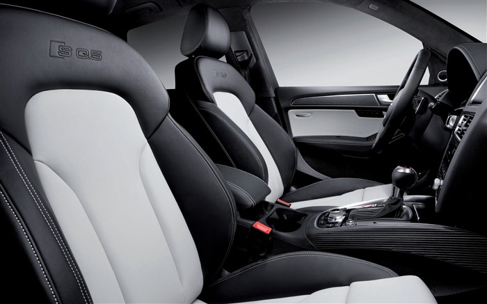 2013 Audi TDI SQ5 fondos de pantalla de alta definición #16