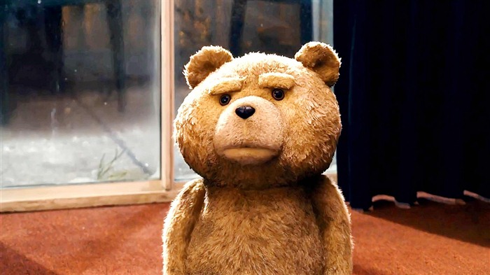 Ted 2012 泰迪熊2012 高清壁纸17