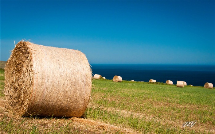 Beau paysage de fonds d'écran HD Australie #1