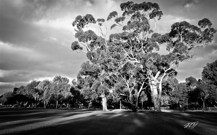 Beau paysage de fonds d'écran HD Australie #7