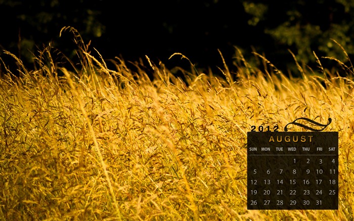 Août 2012 fonds d'écran calendrier (1) #2