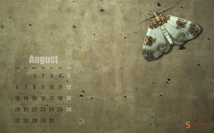 Calendario de agosto de 2012 fondos de pantalla (1) #19