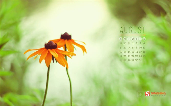 Calendario de agosto de 2012 fondos de pantalla (2) #1