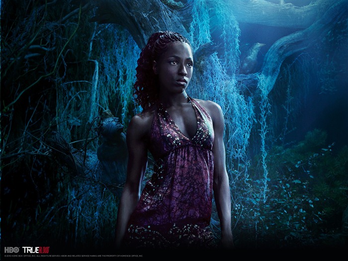 True Blood Série TV HD wallpapers #11