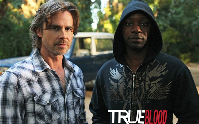 True Blood Série TV HD wallpapers #19