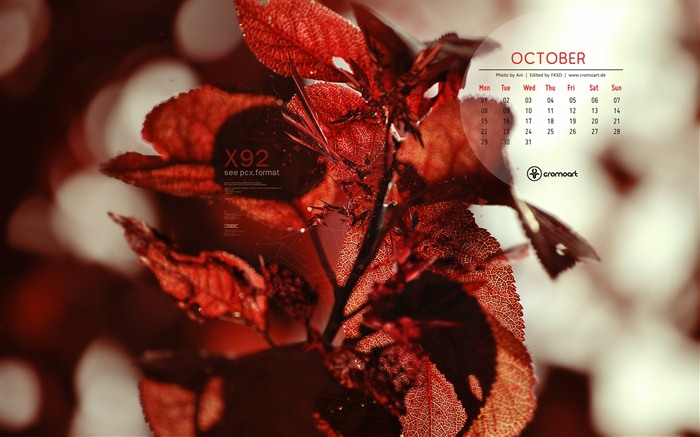 Oktober 2012 Kalender Wallpaper (2) #20