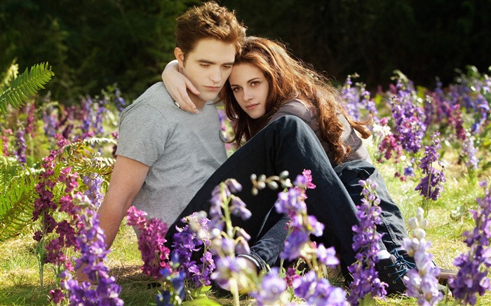 The Twilight Saga: Breaking Dawn 暮光之城4：破曉高清壁紙 #4