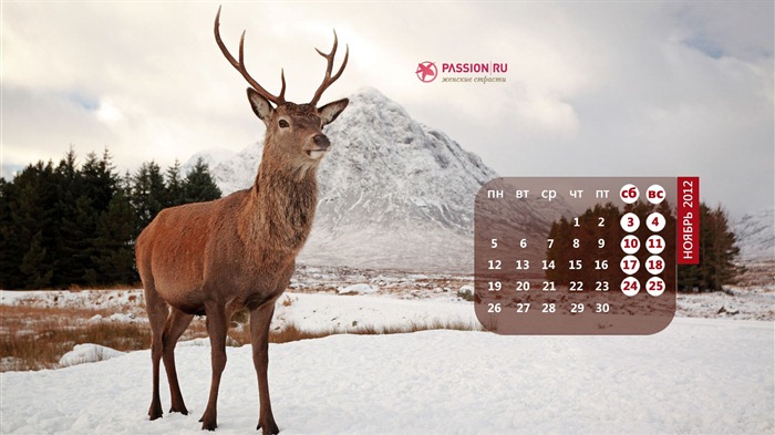 11 2012 Calendar fondo de pantalla (2) #17