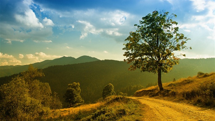 Los lagos, mar, árboles, bosques, montañas, paisaje hermoso fondo de pantalla #6