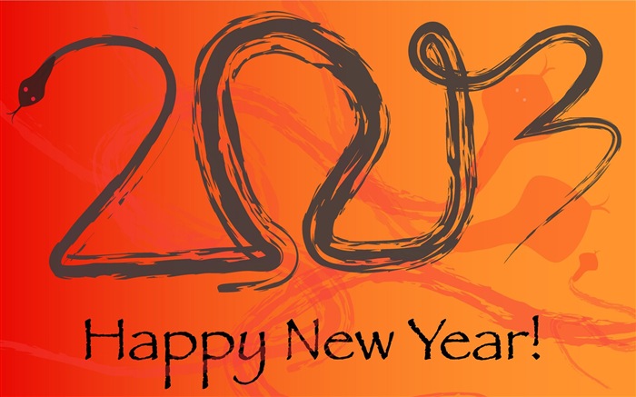 2013 Happy New Year HD wallpapers #11