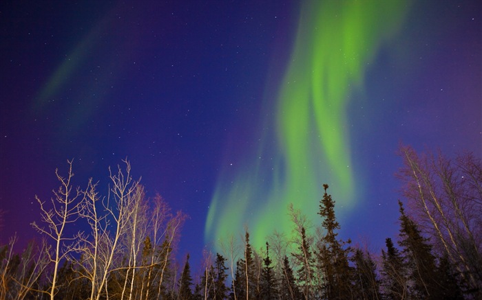 Природные чудеса Northern Lights HD обои (2) #20