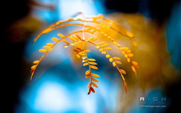 Windows 8 Wallpapers: Moments Captured #4