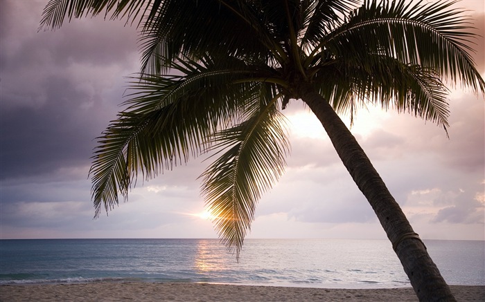 Windows 8 Wallpapers: Caribbean Shores #12