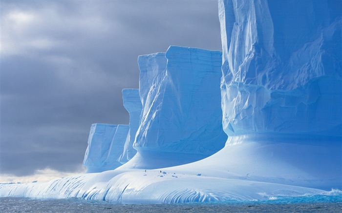 Windows 8: Fondos de pantalla, paisajes antárticos nieve, pingüinos antárticos #5