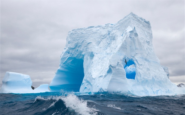 Windows 8: Fondos de pantalla, paisajes antárticos nieve, pingüinos antárticos #7