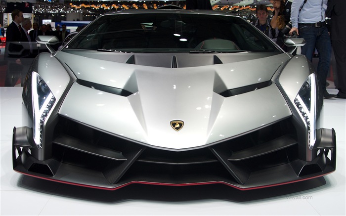 2013 Lamborghini Veneno 兰博基尼Veneno豪华超级跑车高清壁纸19