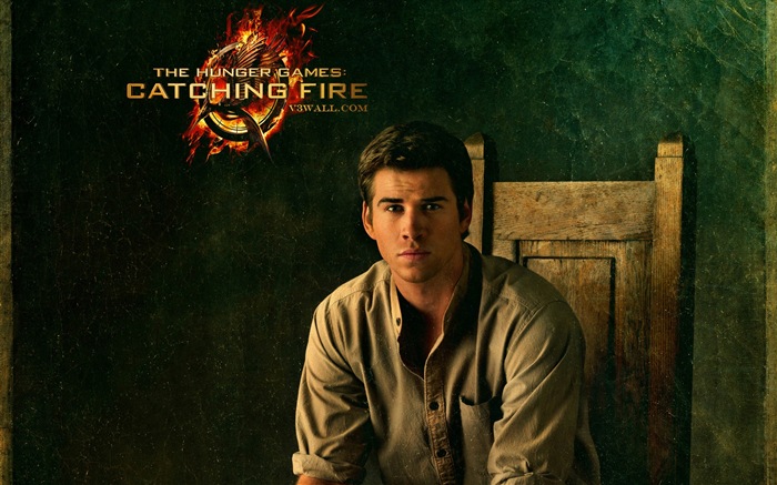 The Hunger Games: Catching Fire wallpapers HD #9