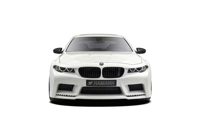 2013 Hamann M5 Mi5sion luxury car HD wallpapers #5