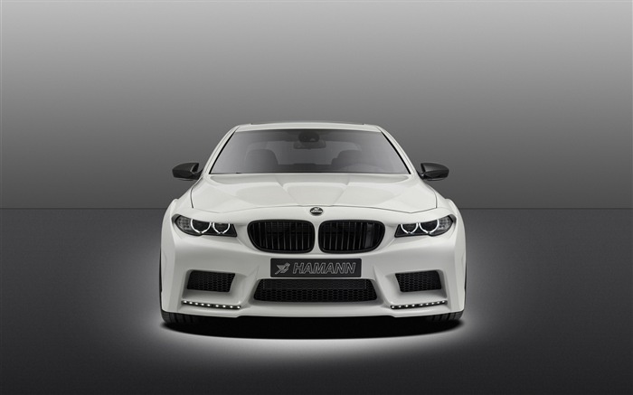 2013 Hamann M5 Mi5sion 哈曼M5 Mi5sion豪華車高清壁紙 #11