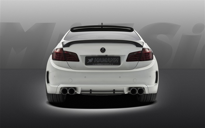 2013 Hamann M5 Mi5sion 哈曼M5 Mi5sion豪华车高清壁纸18