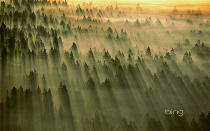 2013 Bing officielles thème wallpapers HD #26