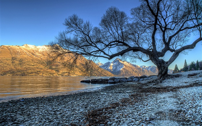 Windows 8 es el tema de fondo de pantalla: Queenstown, Nueva Zelanda #1