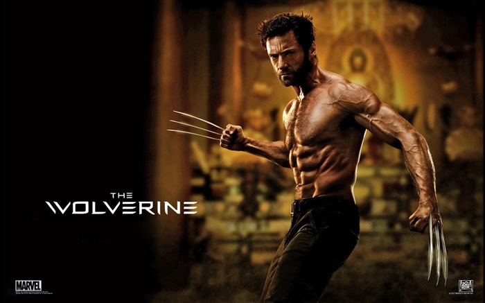 Wolverine 2013 HD tapety na plochu #1