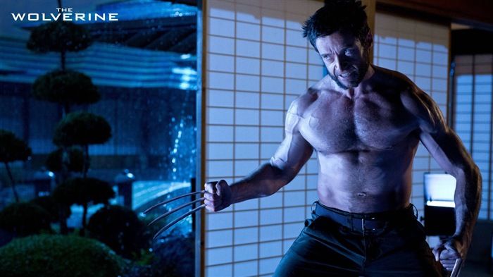 The Wolverine 2013 金刚狼2 高清壁纸6