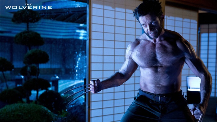 The Wolverine 2013 金剛狼2 高清壁紙 #6