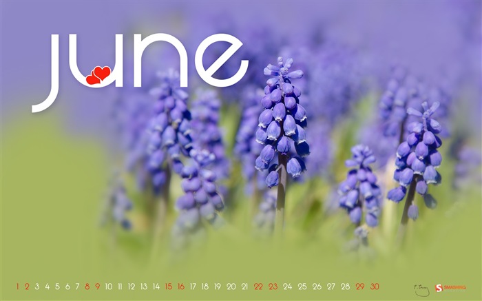 Juni 2013 Kalender Wallpaper (2) #17