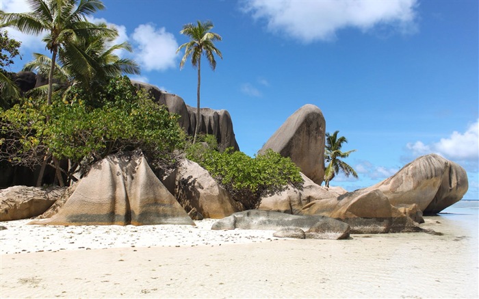 Seychely Ostrov terén HD tapety na plochu #2