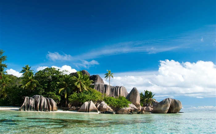 Seychely Ostrov terén HD tapety na plochu #3