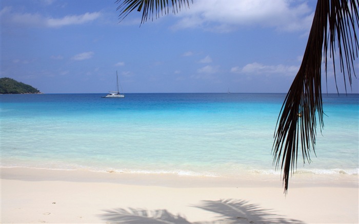 Seychely Ostrov terén HD tapety na plochu #5