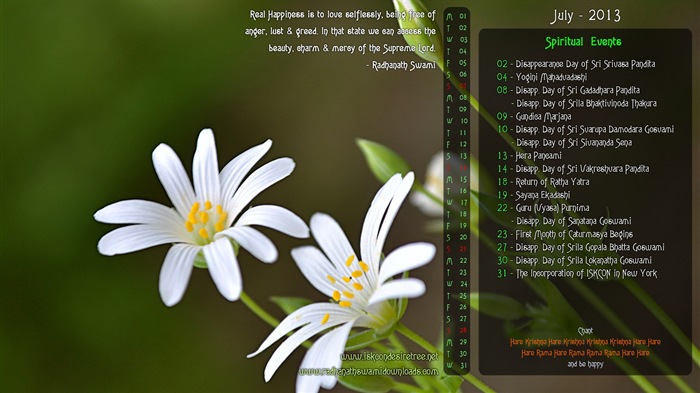 July 2013 calendar wallpaper (1) #9
