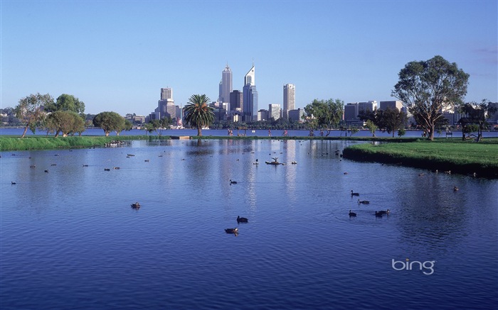 Bing Australia temáticos fondos de pantalla HD, animales, naturaleza, edificios #16