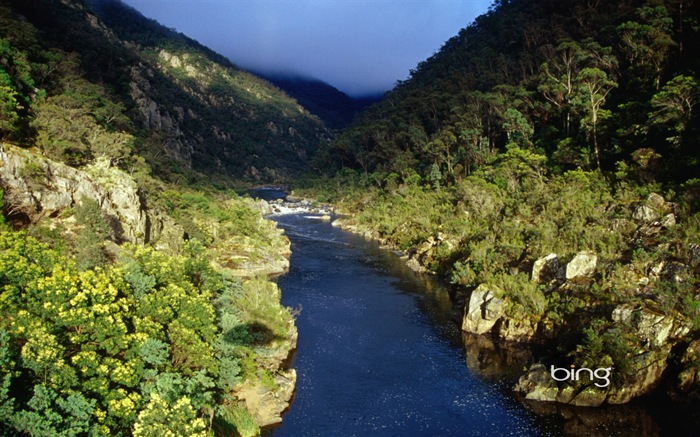 Microsoft Bing thème fonds d'écran HD, l'Australie, ville, paysage, animaux #5