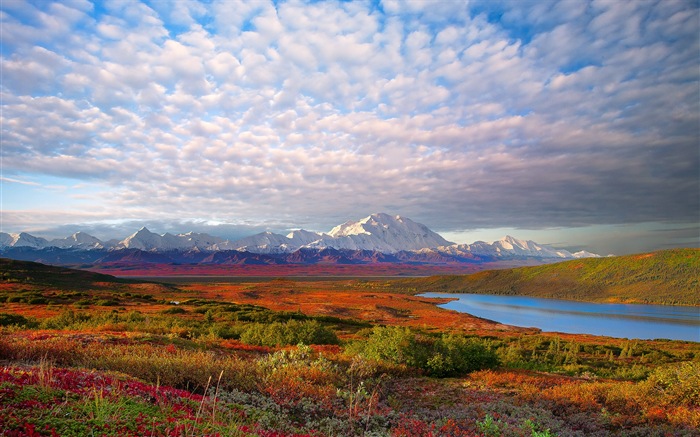 Parque Nacional Denali HD fondos de pantalla paisaje #1