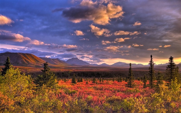 Parque Nacional Denali HD fondos de pantalla paisaje #6