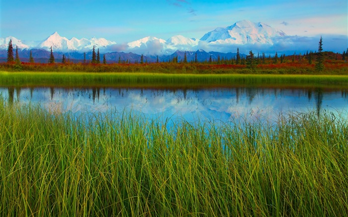 Denali National Park HD landscape wallpapers #11